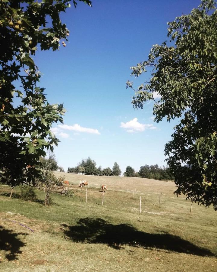 Monte Termine Country House Rioveggio Buitenkant foto
