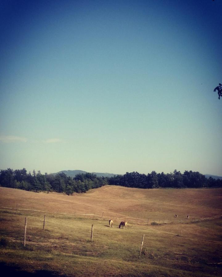 Monte Termine Country House Rioveggio Buitenkant foto