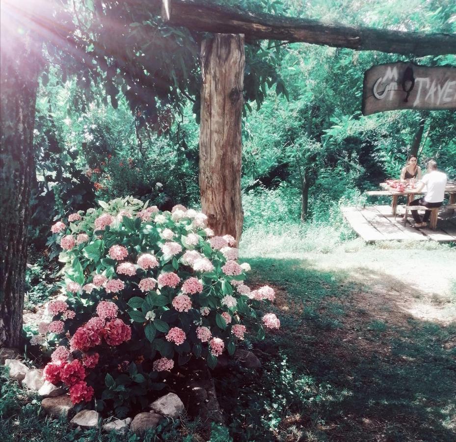 Monte Termine Country House Rioveggio Buitenkant foto