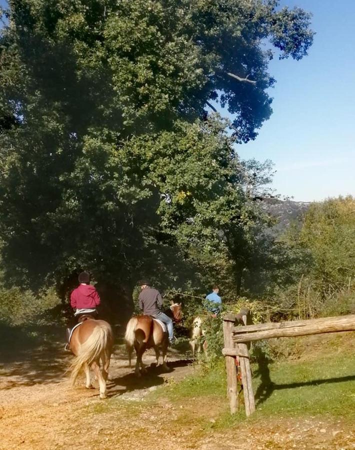 Monte Termine Country House Rioveggio Buitenkant foto