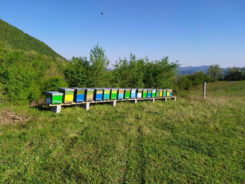 Monte Termine Country House Rioveggio Buitenkant foto