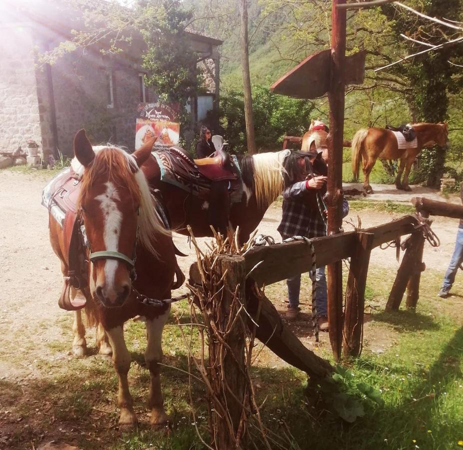 Monte Termine Country House Rioveggio Buitenkant foto